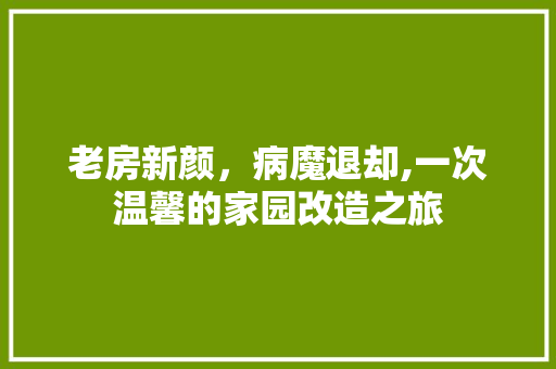 老房新颜，病魔退却,一次温馨的家园改造之旅