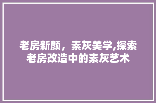 老房新颜，素灰美学,探索老房改造中的素灰艺术