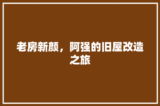 老房新颜，阿强的旧屋改造之旅 居家维修