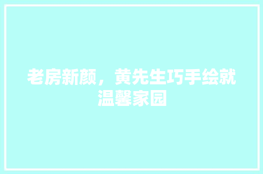 老房新颜，黄先生巧手绘就温馨家园