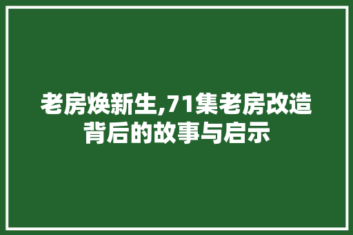 老房焕新生,71集老房改造背后的故事与启示