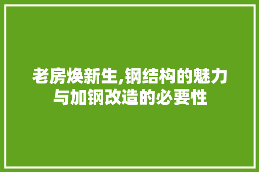 老房焕新生,钢结构的魅力与加钢改造的必要性