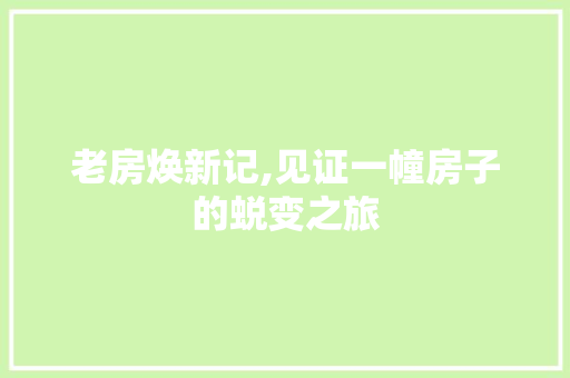 老房焕新记,见证一幢房子的蜕变之旅
