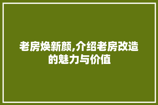 老房焕新颜,介绍老房改造的魅力与价值