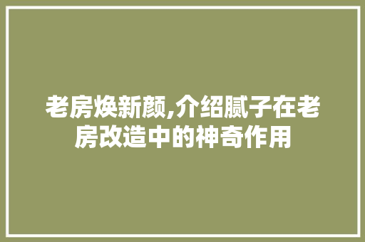 老房焕新颜,介绍腻子在老房改造中的神奇作用