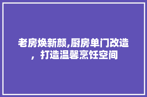 老房焕新颜,厨房单门改造，打造温馨烹饪空间