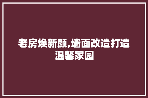 老房焕新颜,墙面改造打造温馨家园