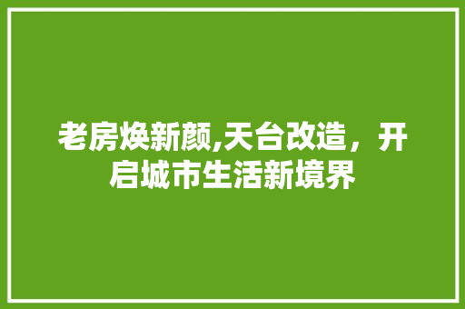 老房焕新颜,天台改造，开启城市生活新境界