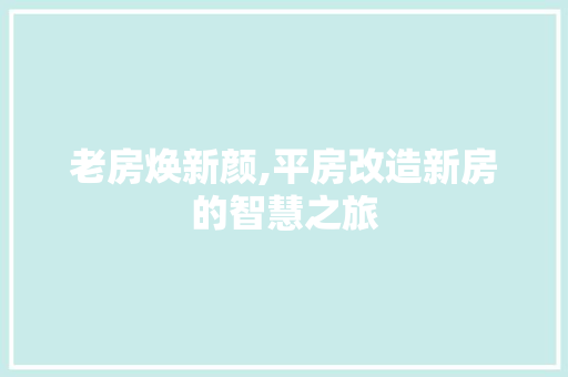 老房焕新颜,平房改造新房的智慧之旅