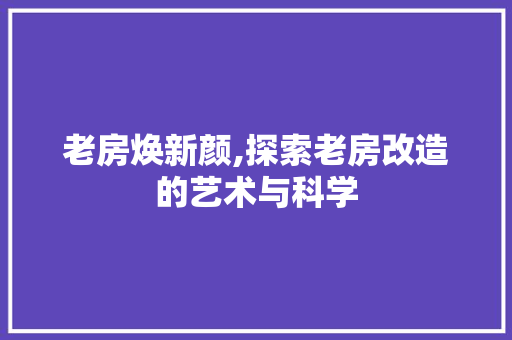 老房焕新颜,探索老房改造的艺术与科学
