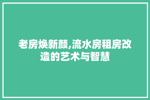 老房焕新颜,流水房租房改造的艺术与智慧