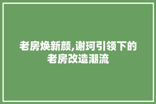老房焕新颜,谢珂引领下的老房改造潮流