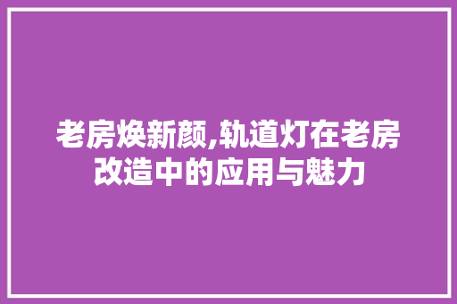 老房焕新颜,轨道灯在老房改造中的应用与魅力