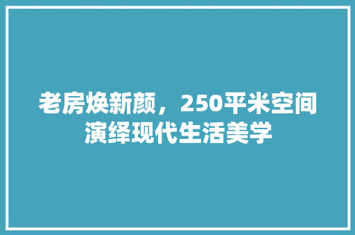 老房焕新颜，250平米空间演绎现代生活美学
