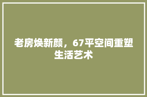 老房焕新颜，67平空间重塑生活艺术