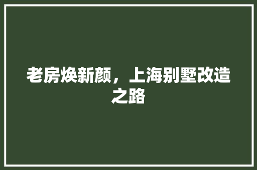 老房焕新颜，上海别墅改造之路