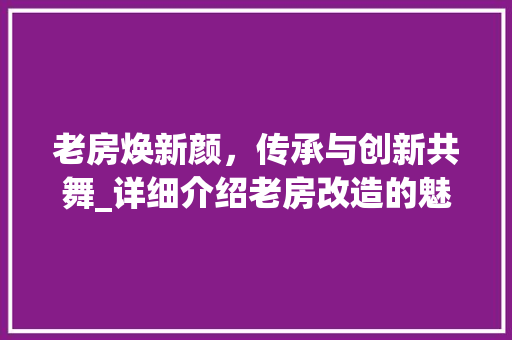 老房焕新颜，传承与创新共舞_详细介绍老房改造的魅力与价值 厨房维修