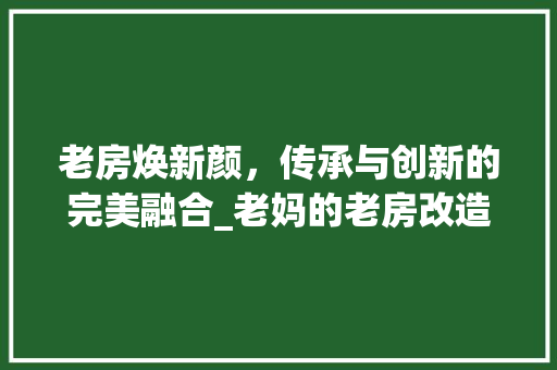 老房焕新颜，传承与创新的完美融合_老妈的老房改造记