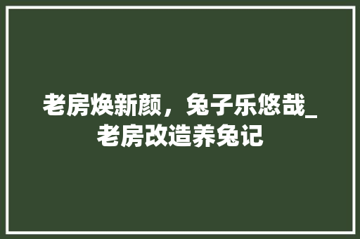 老房焕新颜，兔子乐悠哉_老房改造养兔记