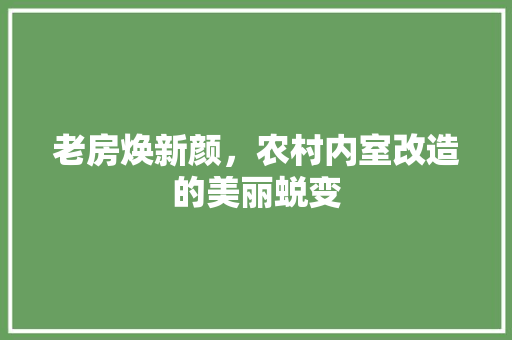 老房焕新颜，农村内室改造的美丽蜕变