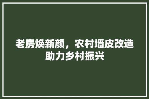 老房焕新颜，农村墙皮改造助力乡村振兴