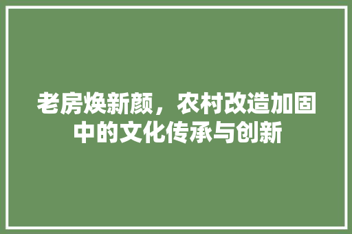 老房焕新颜，农村改造加固中的文化传承与创新
