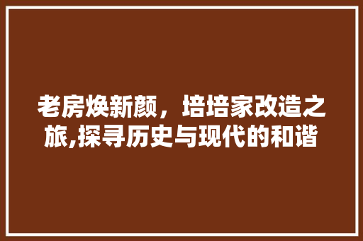 老房焕新颜，培培家改造之旅,探寻历史与现代的和谐交融