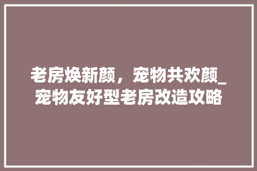 老房焕新颜，宠物共欢颜_宠物友好型老房改造攻略