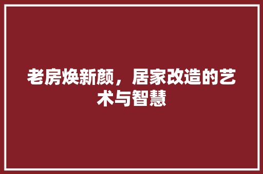 老房焕新颜，居家改造的艺术与智慧