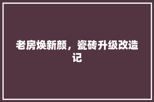 老房焕新颜，瓷砖升级改造记