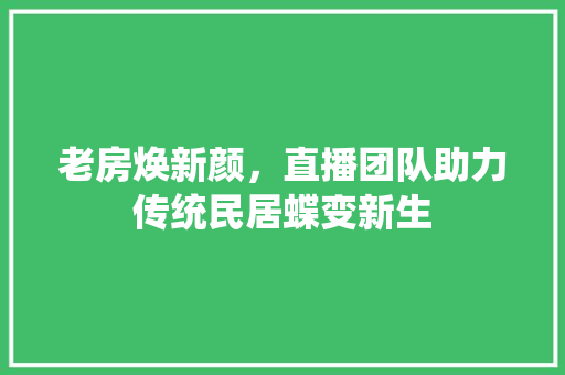 老房焕新颜，直播团队助力传统民居蝶变新生