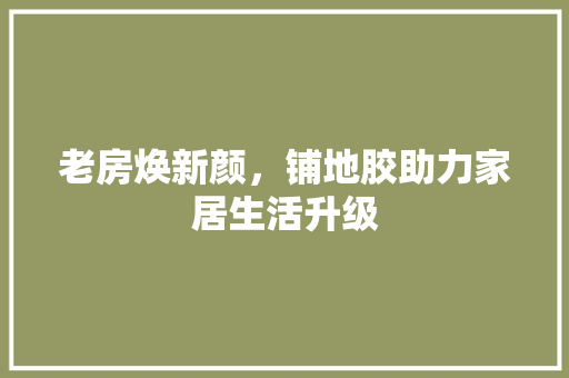 老房焕新颜，铺地胶助力家居生活升级