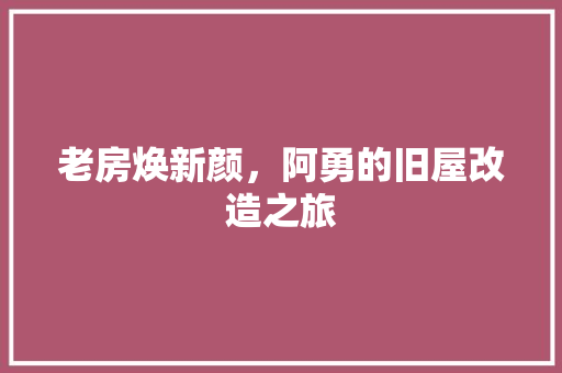老房焕新颜，阿勇的旧屋改造之旅 户内维修