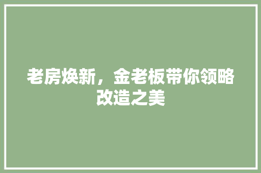 老房焕新，金老板带你领略改造之美