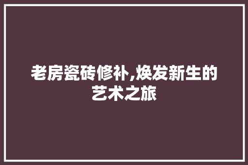 老房瓷砖修补,焕发新生的艺术之旅