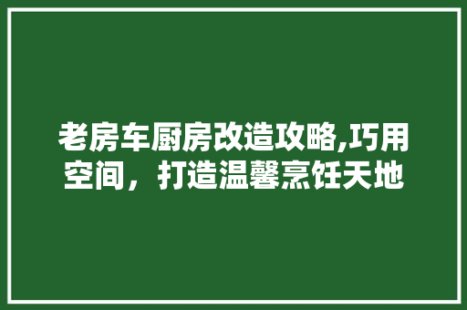 老房车厨房改造攻略,巧用空间，打造温馨烹饪天地
