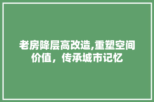 老房降层高改造,重塑空间价值，传承城市记忆