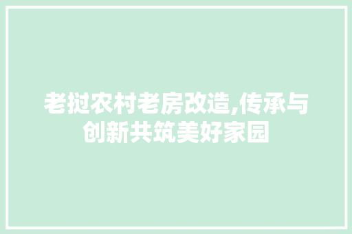 老挝农村老房改造,传承与创新共筑美好家园
