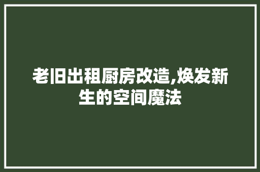 老旧出租厨房改造,焕发新生的空间魔法
