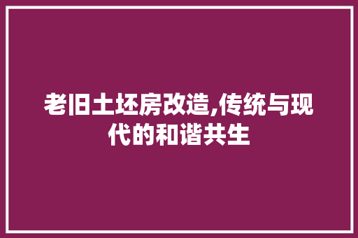 老旧土坯房改造,传统与现代的和谐共生