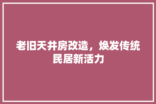 老旧天井房改造，焕发传统民居新活力