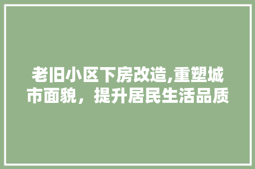老旧小区下房改造,重塑城市面貌，提升居民生活品质