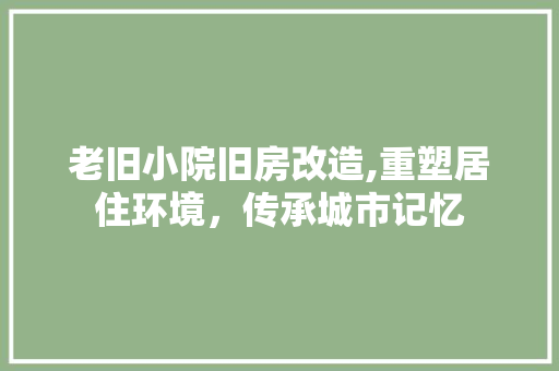 老旧小院旧房改造,重塑居住环境，传承城市记忆