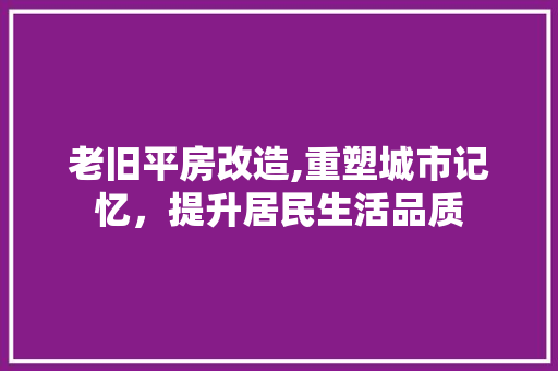 老旧平房改造,重塑城市记忆，提升居民生活品质