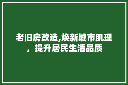 老旧房改造,焕新城市肌理，提升居民生活品质