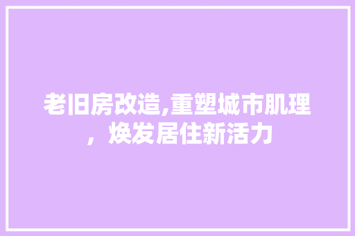 老旧房改造,重塑城市肌理，焕发居住新活力