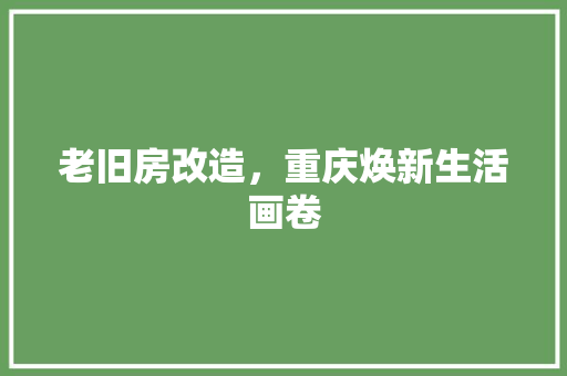 老旧房改造，重庆焕新生活画卷