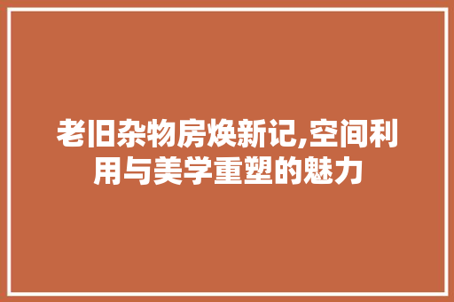 老旧杂物房焕新记,空间利用与美学重塑的魅力