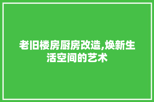 老旧楼房厨房改造,焕新生活空间的艺术