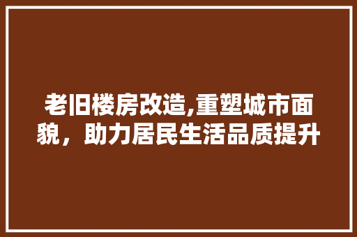 老旧楼房改造,重塑城市面貌，助力居民生活品质提升